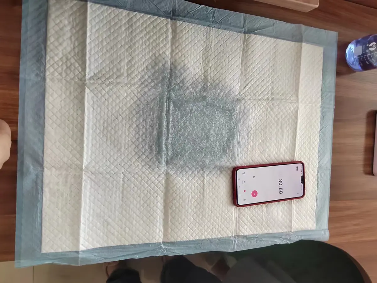 Absorbency testing for disposable pet training pads